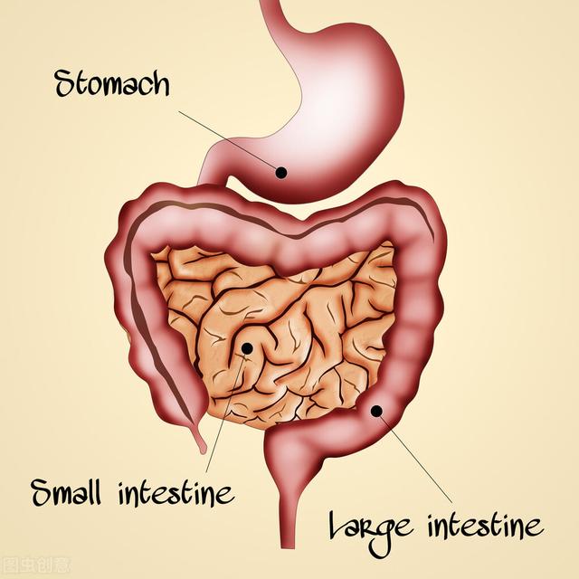 27岁小伙一天大便3次,确诊肠癌!3种大便异常是身体"警报"