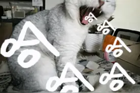 微信上线“灵魂”表情包，聊天离不开的表情包还藏着多少小秘密？图片