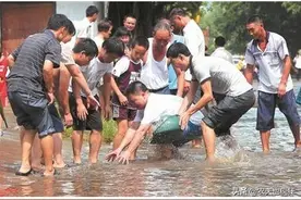 山上没养鱼的水坑，为何过段时间会有小杂鱼？看完懂了图片