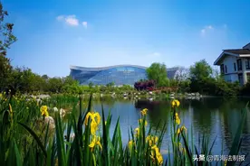 限购之后，成都又一座“青海城”成为青海人的购房优选图片
