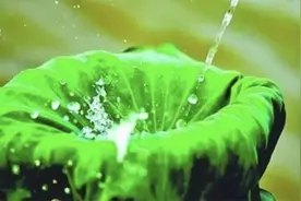 古人的酒杯有多吸睛？这款自带固定吸管的“碧筒杯”一直被模仿图片