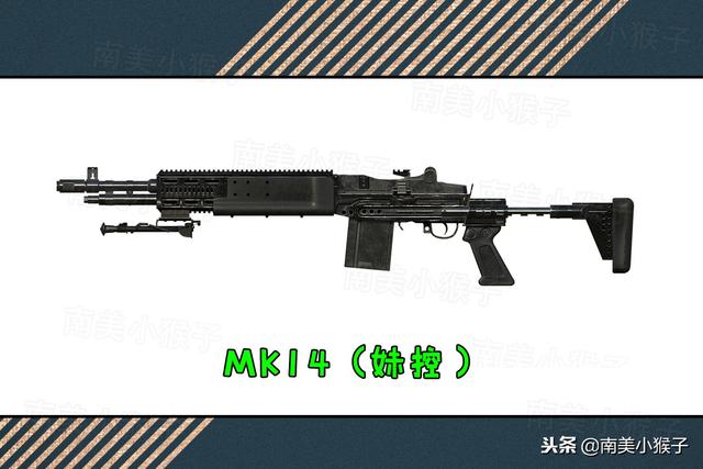 吃鸡大菠萝是什么枪(吃鸡游戏大菠萝是什么枪)-第3张图片