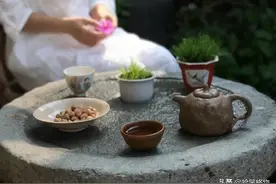 闲情雅趣，雅玩菖蒲图片