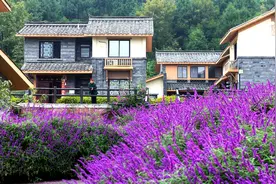 厉害了！金堂这两个村被命名为四川省乡村振兴示范村图片