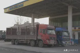 河北小果庄货车司机确诊新冠后，个人隐私泄露，一天上百骚扰电话打来，他担心丢掉工作图片