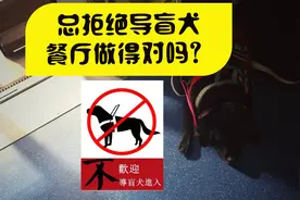 “那个导盲犬好乖哦，我要去摸摸”视频封面