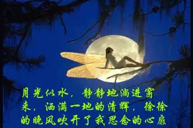 有一种思念在深夜比酒更浓烈，有一种爱在千山万水之间图片
