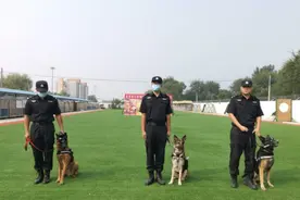壹现场丨遥控摘口笼、超声波控制警犬…… 北京公交警方发布最新科研成果图片