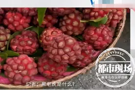 神奇水果“黑老虎”现身街头，商家宣称能抗癌？专业人士这样说图片