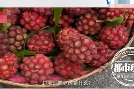 神奇水果“黑老虎”现身街头，商家宣称能抗癌？专业人士这样说图片