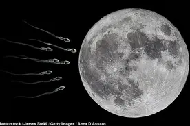 科学家要让670万种子精子卵子奔月，建末日方舟，做好重启准备图片