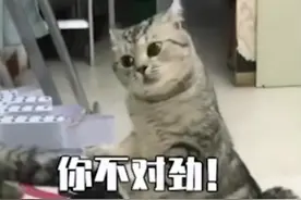 同一部影视作品，陆港台三种译名，哪个更绝？图片