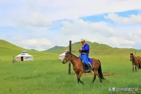 草原上的打马印图片