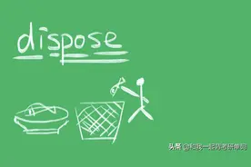 dispose什么意思图片