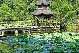 民国泸州那些私家花园，为什么甩今天当地的别墅几条街？图片
