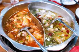郑州火锅江湖：特色不大的小店倒下后，火锅细分市场即将牛气冲天？图片