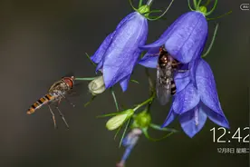 老年人学手机（033）U盘文件传到手机图片