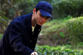 福莲嘉叶何世安 |今年刚火的岩茶山场燕子窠图片