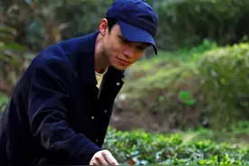 福莲嘉叶何世安 |今年刚火的岩茶山场燕子窠图片