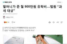 奶奶每月给的900万韩元留学费用，被韩国法院判为“征税对象”图片