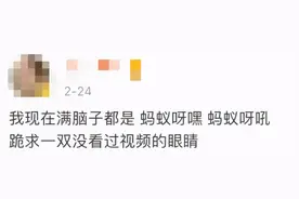 全网都在“蚂蚁牙黑”？网友却担心有“丢脸”“丢钱”风险图片