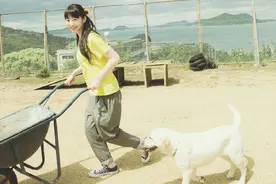 19岁退学嫁人，我要离婚时，老公怕了图片