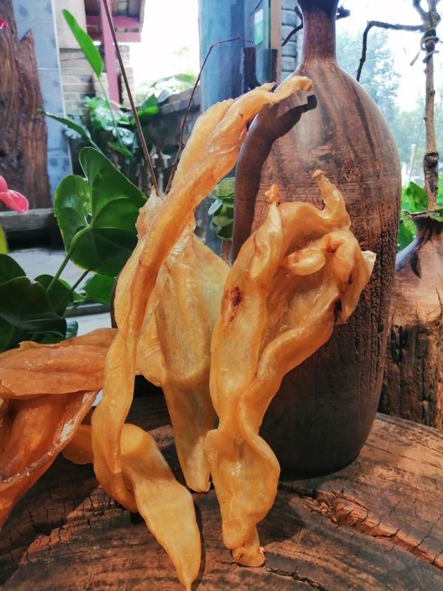 花胶是什么东西做的 2026年杨枝甘露花胶是什么东西做的