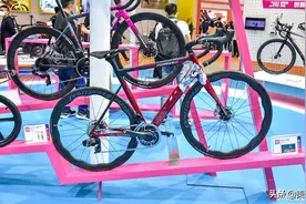 好久不见！2021中国国际自行车展报道（1）图片