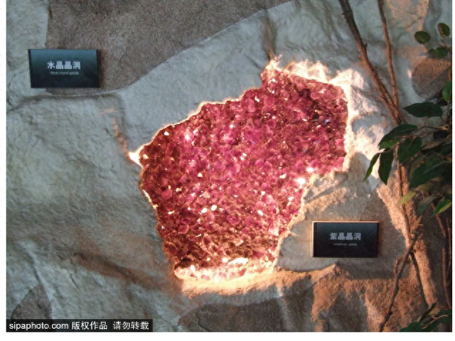 光大银行白熊信用卡年费，光大银行白熊信用卡年费多少 配图08