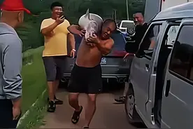 沈阳一水库鱼王被人钓起，有人想花1000买下放生图片