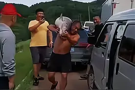 沈阳一水库鱼王被人钓起，有人想花1000买下放生图片