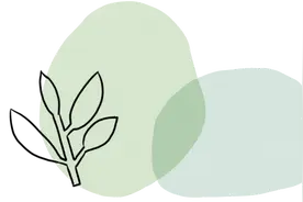 干货 | 12个居家免费学习网站图片