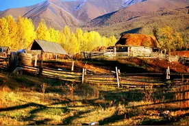 边陲山村白哈巴，秋天里的童话图片