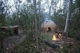 四本深受读者喜爱的荒野求生小说，剧情精彩，让老书虫眼前一亮图片