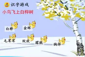 语文微课堂：统编语文（四下）《11 白桦》图片