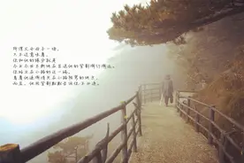 《目送》：人生80%的路，都是一个人走，不必追图片
