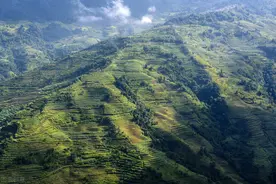 《梦幻新诛仙》草庙村探灵所有位置详细攻略图片