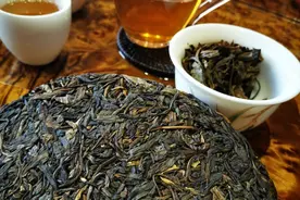 冰岛老寨古树茶口感图片