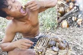 柬埔寨小哥：野外寻找食物烹制，疯了！福寿螺这样烧下就能吃视频封面