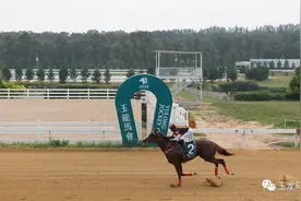 2019玉龙赛道1000米最快赛马：“华宇风度”及“初露锋芒”58秒65图片