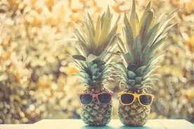 菠萝和凤梨，究竟有啥区别？图片