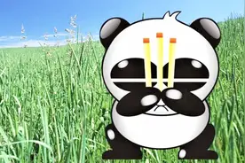 周鸿祎的360免费后，为什么反而感觉电脑病毒少了？看完恍然大悟视频封面