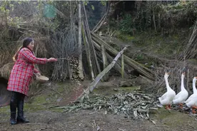 她19岁嫁到大山深处，吃腊肉喝自酿甜杆酒，没感觉到一点生活压力图片