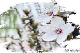 草场街街道：《不放弃》致敬奋战在抗疫一线人员，待春暖花开之时，愿我们繁华与共图片