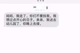 “大宝”不满要照顾“二宝”发离别短信离家出走图片