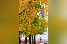 如果回天津吧？不如就来滨海，不如就来泰达吧？图片