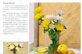 武汉209画室：美术高考丨色彩静物花卉讲解图片