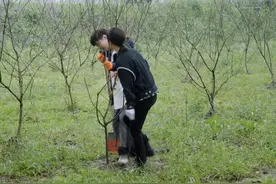 杨紫进蘑菇屋忘记减肥，张艺兴宠溺跟紧杨紫，网友喊话快在一起图片