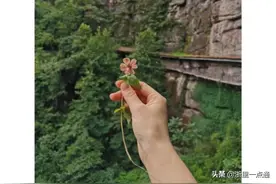 在家隔离20多天，假女友变成真媳妇，赚翻了！图片