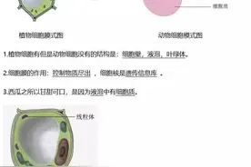 初中生物知识要点汇总，40张生物图和110个知识点，会考备考必背图片
